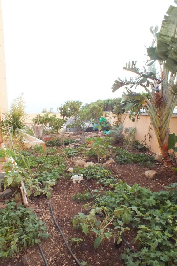 شقة Casa Nea El Rosario  المظهر الخارجي الصورة